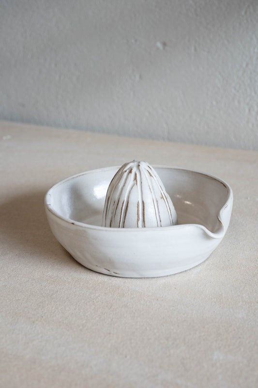 Citrus press in Snow
